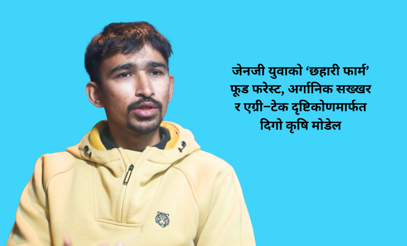जेनजी युवाको ‘छहारी फार्म’: फूड फरेस्ट, अर्गानिक सख्खर र एग्री–टेक दृष्टिकोणमार्फत दिगो कृषि मोडेल